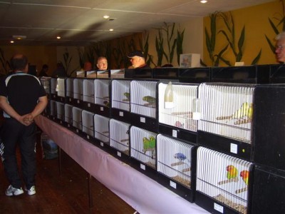 PIC_0010 (Small).JPG