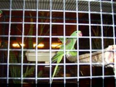 PIC_0011 (Small) (WinCE) (Small).JPG