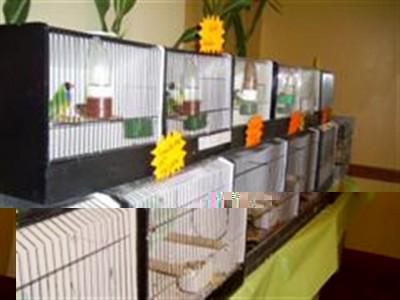 PIC_0013 (WinCE) (Small).JPG