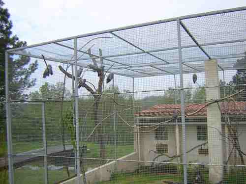 VUE ENSEMBLE DES GRIS  2.jpg