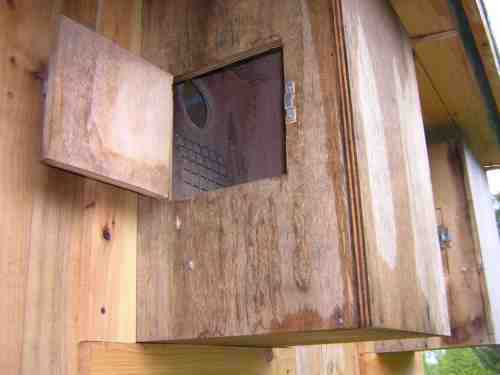 VUE INTERIEUR DE NID.jpg