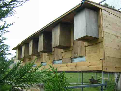 vue arriÃ¨re ensembles de nids.jpg