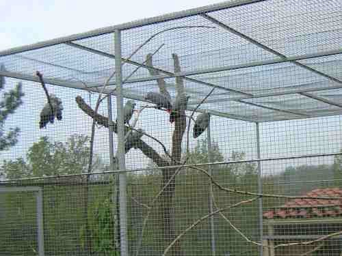 VUE ENSEMBLE DES GRIS.jpg