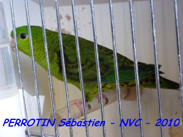 Toui Catherine TS.jpg