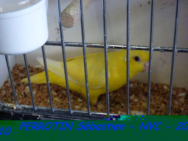 Toui Catherine Lutino.jpg