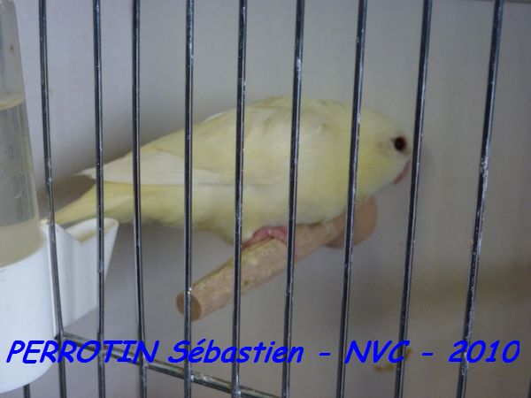 Toui Catherine Turquoise-Ino.jpg