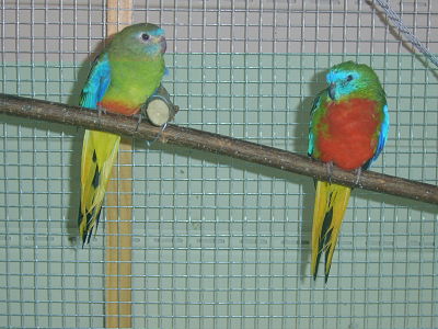 1 11 2010 (2)_opt.jpg