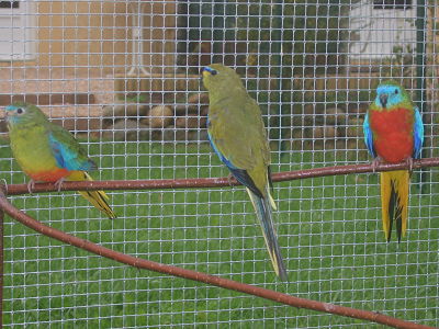 1 11 2010 (10)_opt.jpg