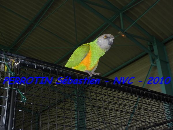 Un privilÃ©giÃ©.jpg