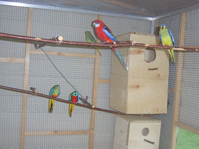 1 11 2010 (5)_opt.jpg