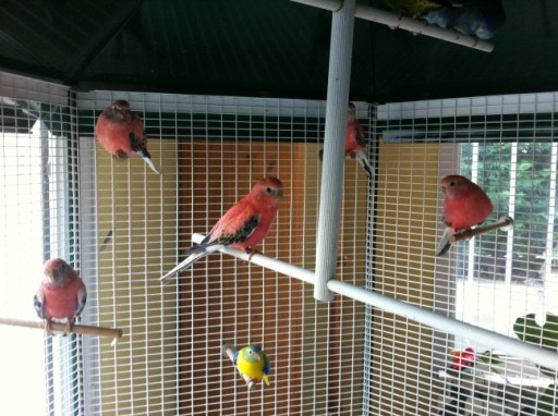 Photo prise iphone 432 [].jpg