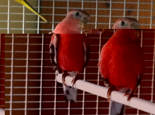 Photo prise iphone [].jpg