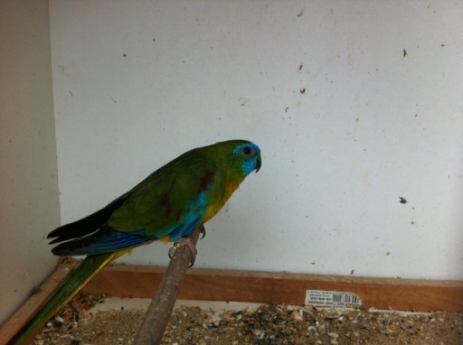 Photo prise iphone 433 [].jpg