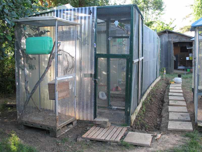 vol verte droite.jpg