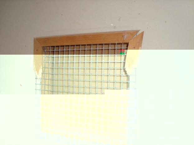 baguettes aprÃ©s passage des Penants 03(small)bis.JPG