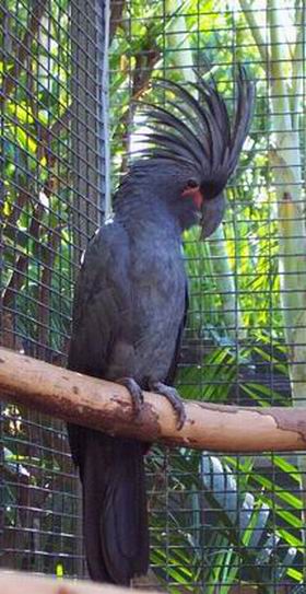 Resize of Tenerife30027.jpg