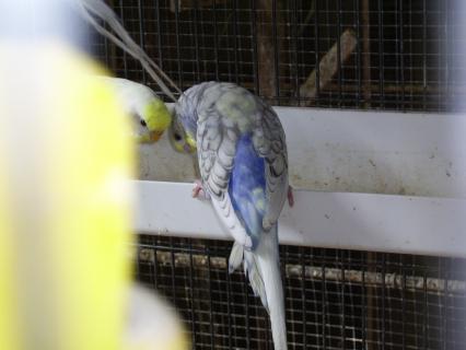 PhotoS BEBES 319(1).jpg