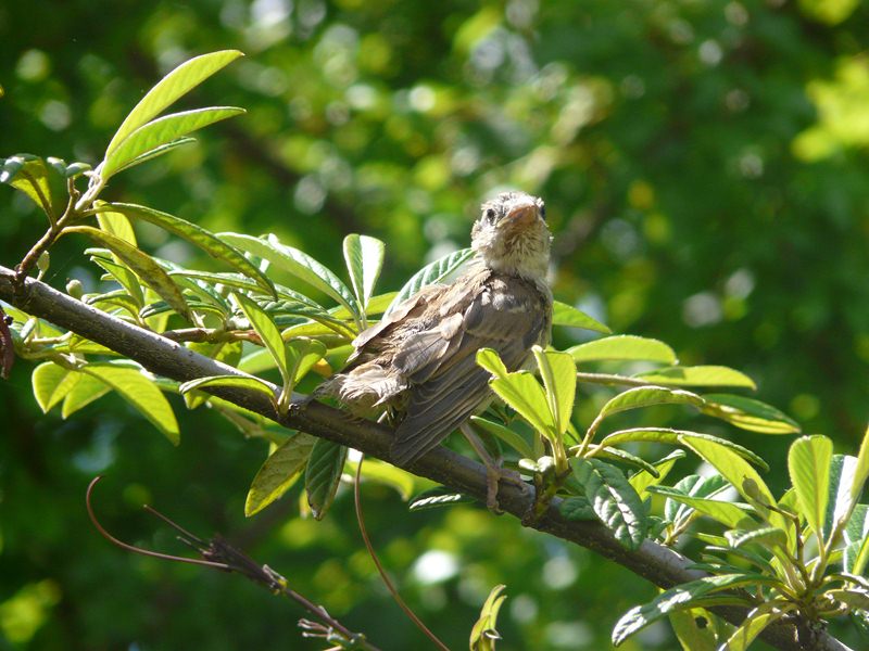 P1160126 (Copier).JPG