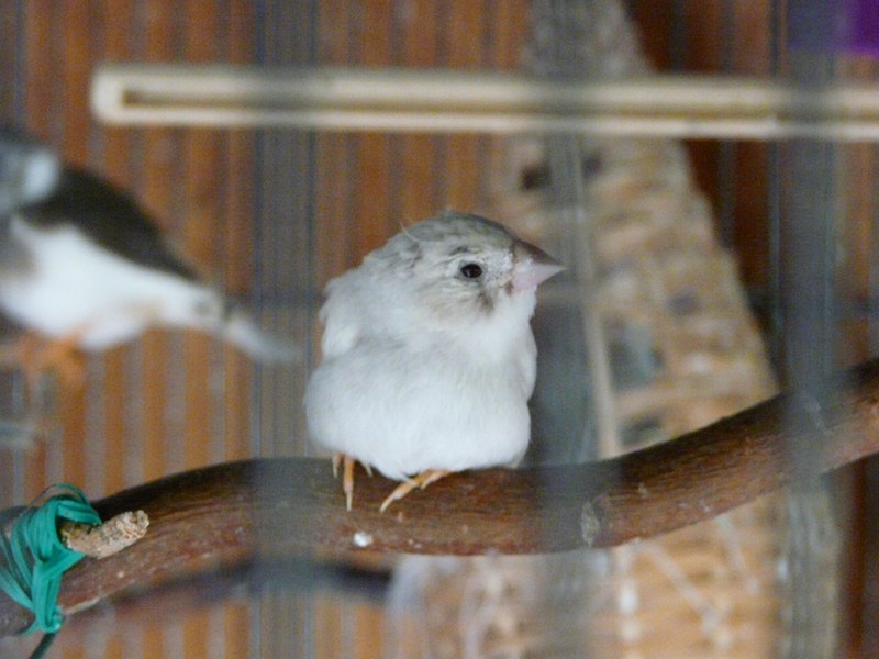 P1290036 (Copier).JPG