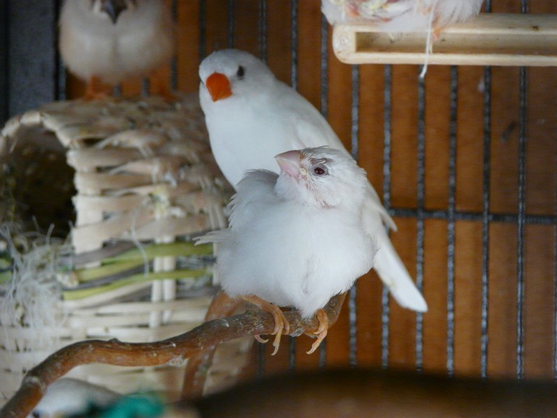 P1290051 (Copier).JPG