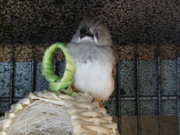 P1290042 (Copier).JPG