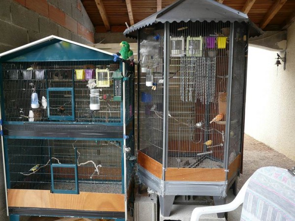 P1290062 (Copier).JPG