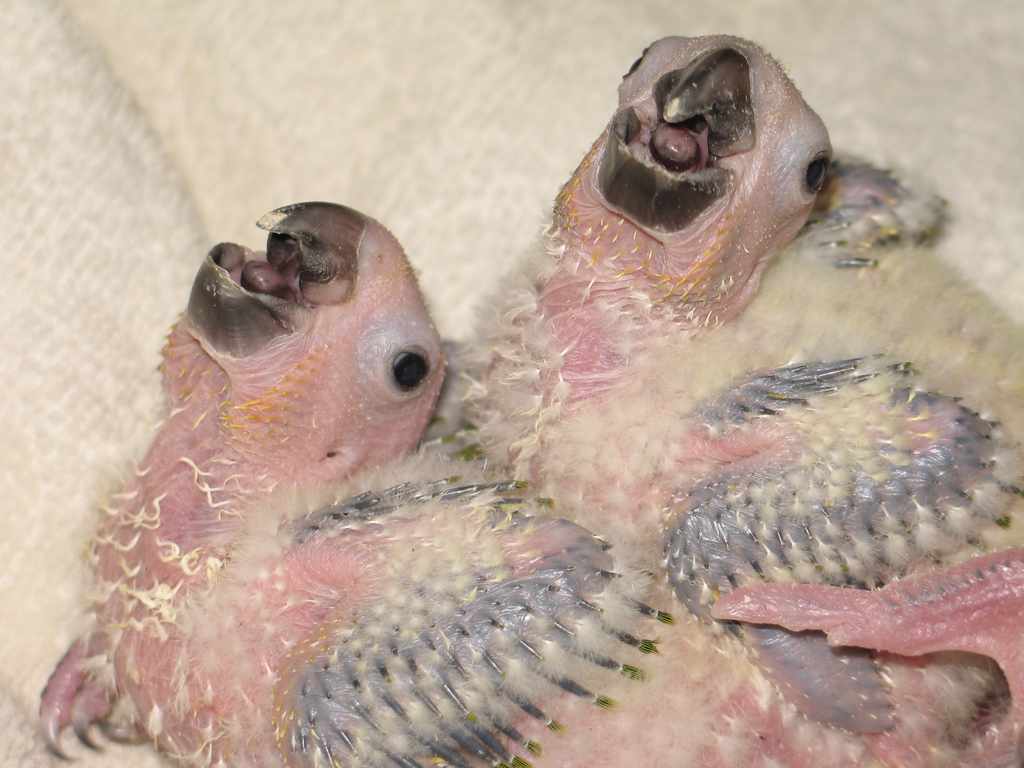 0707bbsoleil 003a.jpg