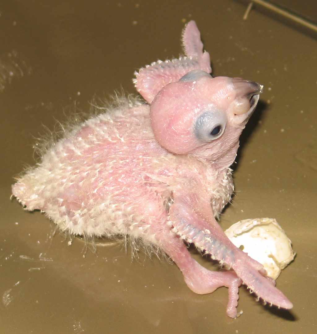 soleil110710 035.jpg