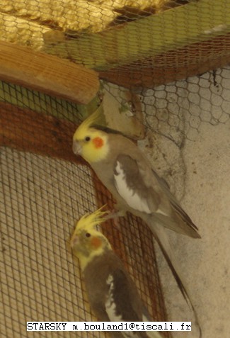 norm cin DSC01256.jpg