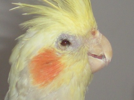 RSCN7938 [iPhone].JPG