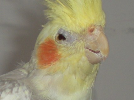 RSCN7939 [iPhone].JPG