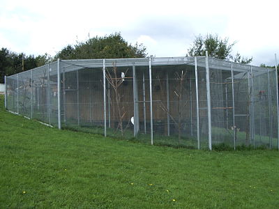 photo voliere mille sabords.jpg