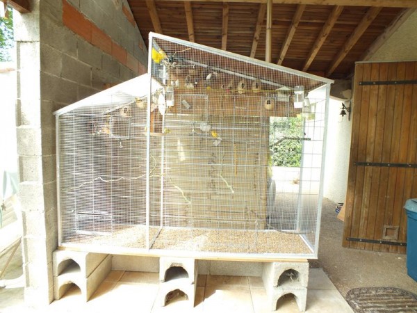 DSCF1065 (Copier).JPG