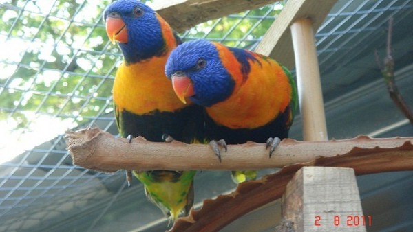 DSC08073 - Copie.JPG