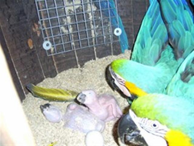 PIC_0003 -Copier- (Small).JPG