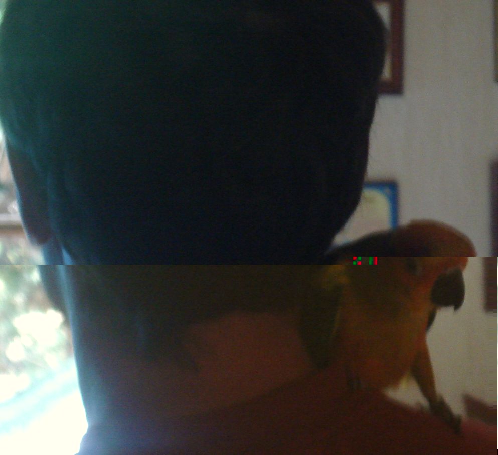 10 soleil 1.11 (6).JPG