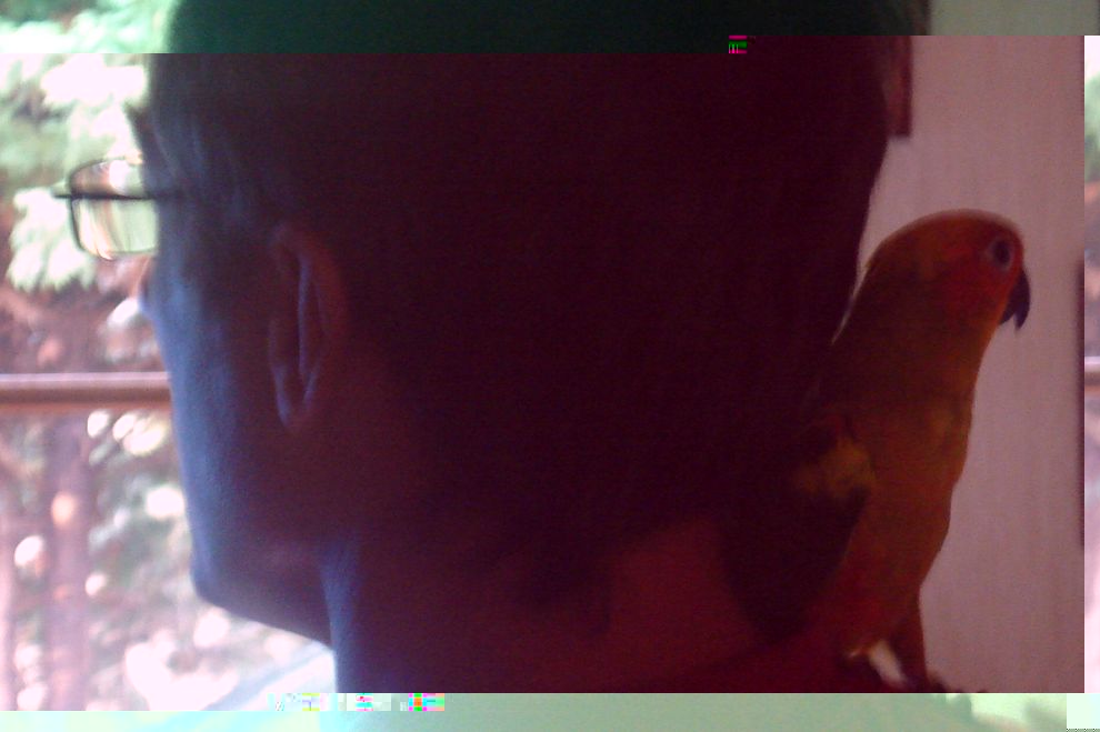 10 soleil 1.11 (7).JPG