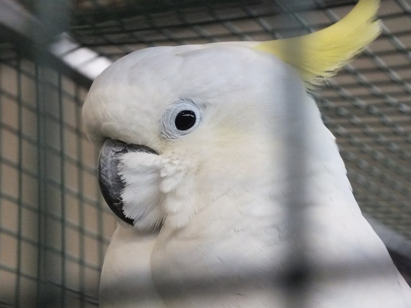 DSCF4893 (Copier).JPG