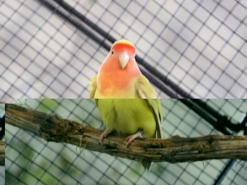 DSCF4804 (Copier).JPG