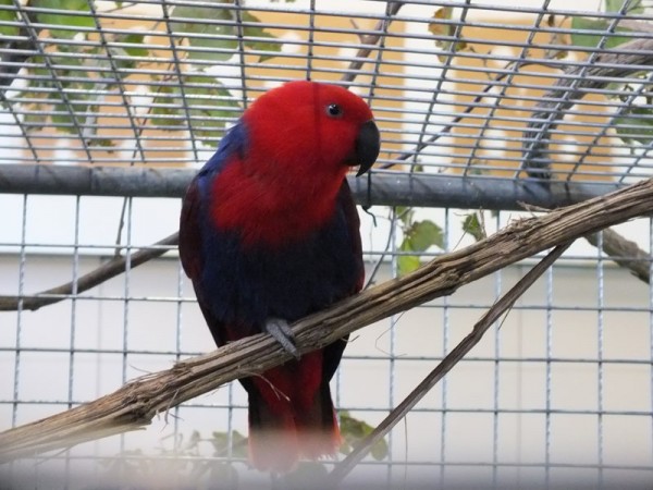 DSCF4847 (Copier).JPG