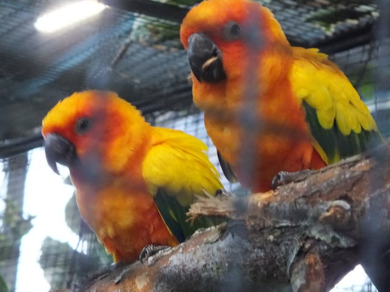 DSCF4881 (Copier).JPG