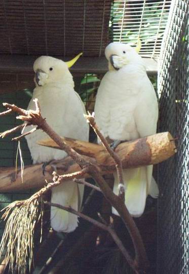 Resize of Tenerife30035.jpg