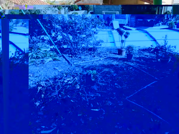 P1320310 (Copier).JPG