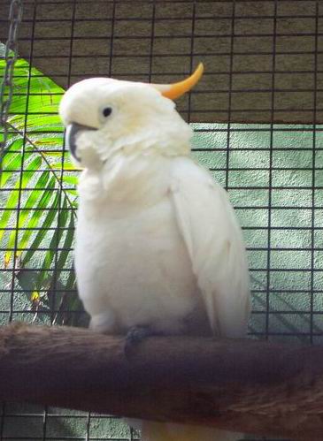 Resize of Tenerife30040.jpg