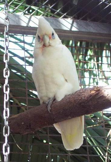 Resize of Tenerife30046.jpg