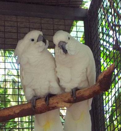 Resize of Tenerife30045.jpg