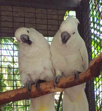 Resize of Tenerife30044.jpg