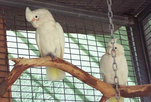 Resize of Tenerife30043.jpg