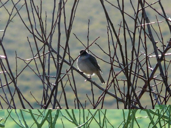 P1190641 (Copier).jpg