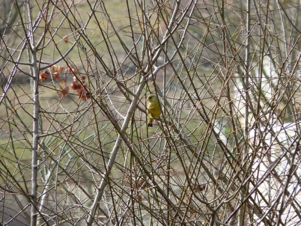 P1200676 (Copier).jpg